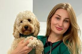 Medivet 24 Hour Kensington