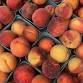 Peach Festival