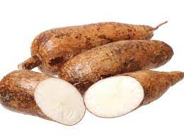 Provided evidence for hypoglycaemic, hypocholesterolaemic, nephroprotective … 10 Tapioca Kappa Benefits Which Will Supercharge Your Healthy Life