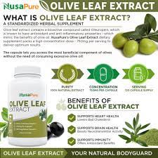 We may earn commission from links on this page, but we only recomme. Benefits Of Olive Oil Leaves Health Benefits