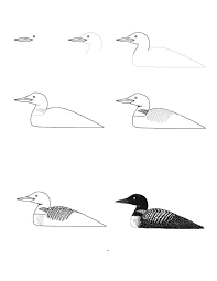 How To Draw Animals Animal Drawings Bird Drawings Drawings