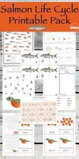 Salmon Life Cycle Worksheet Life Cycles Life Cycles Kindergarten Cycle For Kids