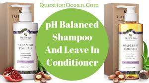Barbara olisio, a cosmetic scientist who formulates hair and skin products, shampoos at lower ph preserve your hair and scalp's natural oils. The Best Ph Balanced Leave In Conditioners And Shampoo For Healthy Hair Questionocean