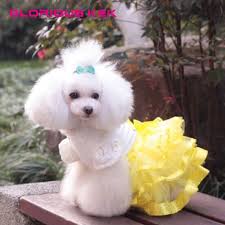 Yeni Luks Prenses Kucuk Kopek Gelinlik Xs Kopek Giysileri Nokta Kopek Tutu Elbise Yaz Polka Dot Saten Kurdele Ile Ucretsiz Kargo Dog Tutu Dress Dog Wedding Dressdog Tutu Aliexpress