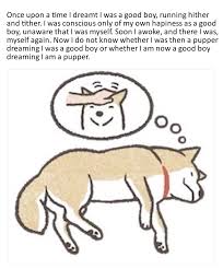 100+ if loving you is wrong quotes, messages, and poems. Happy Shibe Doing Some Happy Dreaming Have A Wonderful Wednesday Wholesomememes