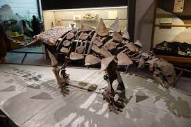 ガストニア (ja) media in category gastonia (dinosauria). Gastonia Dinosaur Wikipedia