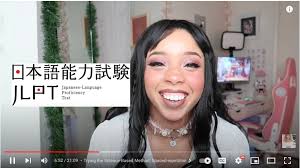 Guys someone know what is the nepshito youtube channel?