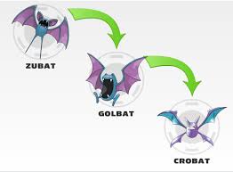 evolution zubat evolution chart