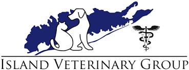 We did not find results for: Island Vet Group Huntington Veterinarian And Mobile Vet House Call Veterinarian
