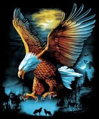 Helang kreatif kartun elang eagle bulu helang dewasa helang. Ardana Sidi Anadra6556 Profil Pinterest