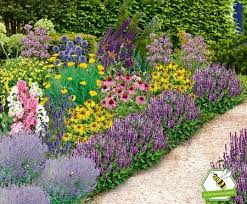 Mein Schoner Garten Bienenfreundliches Gartenbeet Nektar Oase Bunt 22 Pflanzen In 2020 Garten Anpflanzen Pflanzen Gartenbeet