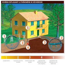 Check spelling or type a new query. Secheresse Argile Et Impacts Sur Les Habitations Lamy Expertise Fissures