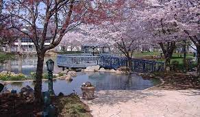 Outdoor Wedding Venues Near Columbus Ohio Cherry Valley Lodge Ohio Wedding Venues Ohio Wedding Venues Outdoor Ohio Outdoor Wedding
