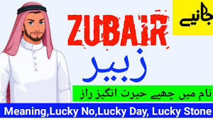 Zubair زبیر Name Meaning In Urdu In 2020 Arabic Baby Girl Names Muslim Baby Girl Names Muslim Baby Boy Names