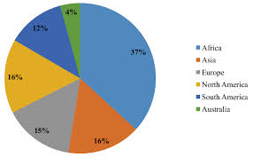 Pie Chart Showing The Average Percentage Of Fluoride