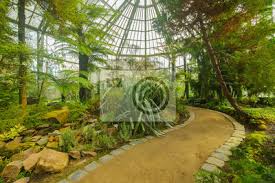 Plan to visit botanischer garten, germany. Botanischer Garten Frankfurt Botanischer Garten 3 Fototapete Fototapeten Eden Gedeihen Botanischer Garten Myloview De