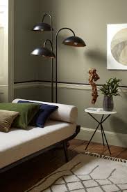 Image Result For Light Olive Green With Charcoal Feature Wall Living Room Interieur Woonkamer Interieur Zitkamers
