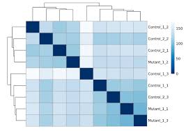 Image result for bioinformatics heatmap