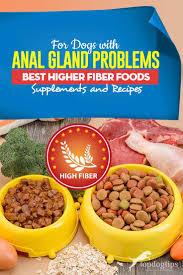 Their dry dog food is low in calories and has 20% less fat than other brands out there. Best High Fiber Dog Food Anal Gland Problems Supplements Recipes