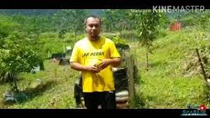 Pertubuhan peladang kebangsaan (nafas) tidak bertanggungjawab terhadap sebarang. Jawatan Kosong Pertubuhan Peladang Kebangsaan Nafas 12 Cute766