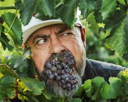 Chapters Volume Four: Keith Saarloos