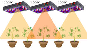 We did not find results for: 7 Best Led Grow Lights In 2021 Based On Official Par Values