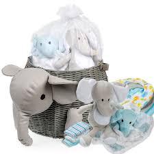 What do you bring to the shower? Amazon Com Baby Shower Gifts New Baby Newborn Essential Gift Basket Beautiful Elephant Theme Gift Wrapped For A Boy Or Girl All In One Registry Essential Stuff For Boys Or Girls