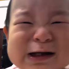 丁🇹🇼🏂🌹🌞🦖🌝🧋🍰✈️