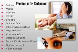 Sintomas De La Presion Arterial Alta La Presion Arterial