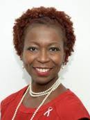 CV/L Project Advisory Committee