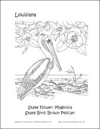 Louisiana state flower coloring page from louisiana category. Pin On Children