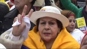 Touring Holland by Bicycle