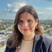 1100+ «Flom» profiler