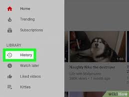 How to view mobile history even deleted. How To View Your Youtube History On Pc Or Mac 3 Steps
