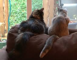 weekend free-for-all - November 21-22, 2015 - Ask a Manager