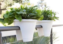 Codes promo, ventes flash, livraison offerte, trouvez le produit de vos rêves à prix réduit ! Amenager Un Balcon Avec Des Plantes Et Une Table Cote Maison