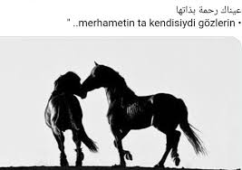 Lolee Adli Kullanicinin Ozlu Sozler Panosundaki Pin Gece Ozlu Sozler