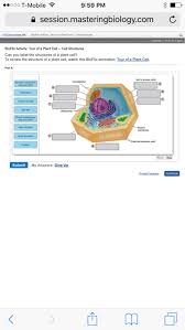 It processes the proteins produced by the. Ooo T Mobileä»¤ 9 59 Pm A Chegg Com