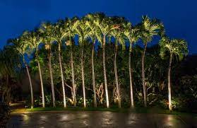 Tropical Outdoor Lighting Design Installation Maui Hawaii Tropical Landscape Lighting Landscape Lighting Tropical Outdoor Lighting