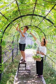 Beautiful Vegetable Garden Decorate The House As Food For The Kitchen Home Vegetable Garden Planning Small Vegetable Gardens Home Vegetable Garden