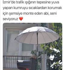 Seda Akar Adli Kullanicinin Yaratici Fikirler Panosundaki Pin 2020 Semsiye Egzotik Arabalar Klasik
