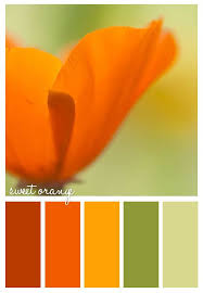 Orange Color Scheme Spring Fresh Color Balance Color Schemes Colour Schemes