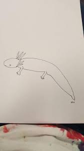The axolotl is a very unusual type of amphibian that also goes by the name mexican salamander or mexican walking fish. How To Draw An Axolotl Axolotl Amino Amino