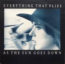 verse 1 take me, i'm alive never was a girl with a wicked mind but everything looks better when the sun goes down. Everything That Flies As The Sun Goes Down Discogs