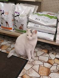 Helping animals live a longer, happier, and healthier life is our primary focus. Animal Hospital In Earlham Ia Earlham Veterinary Clinic