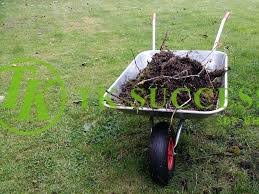 We did not find results for: Kereta Sorong