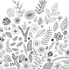 Black White Flowers Avec Images Dessin Fleur Doodling De Fleurs Dessin Floral