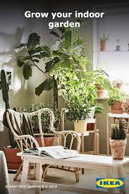 Get Inspired By Our Collection Of Stylish Pots And Plants Click To Learn More About The Plants Including Which Thrive Indoors On Ik Ikea Plants Plants Decor