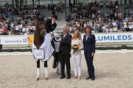 Anna had seen bella rose there and tipped me off, and so i went to bochum one day to look at the mare myself. Chio Aachen
