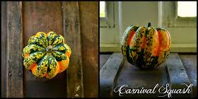 Image result for carnival acorn squash